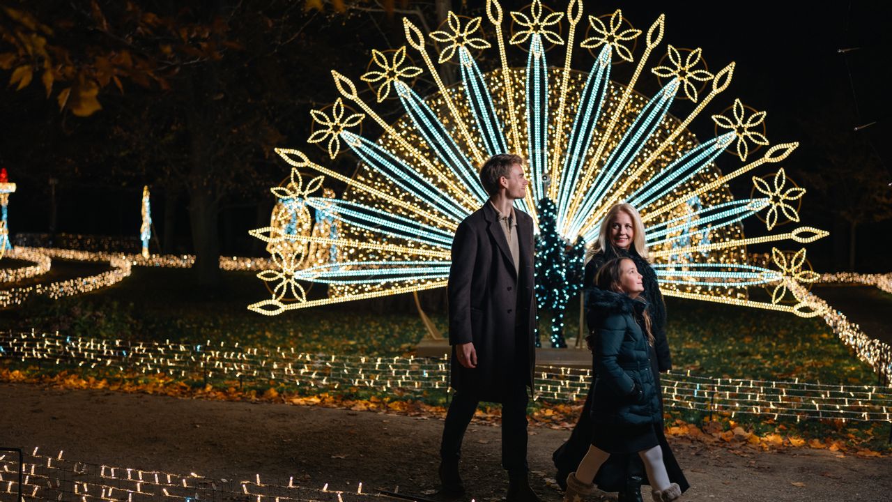 Zwei Erwachsene und ein Kind in einem Lichtergarten im Schlosspark Schönbrunn