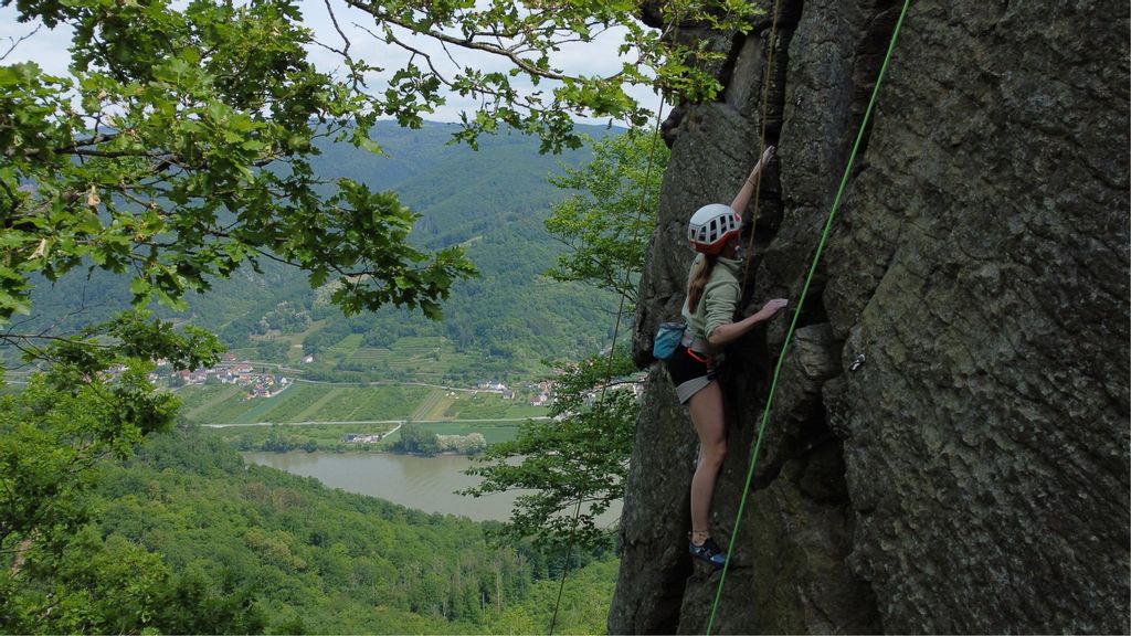 Eine Frau klettert an einer Felswand. Rundherum sieht man einen Wald.