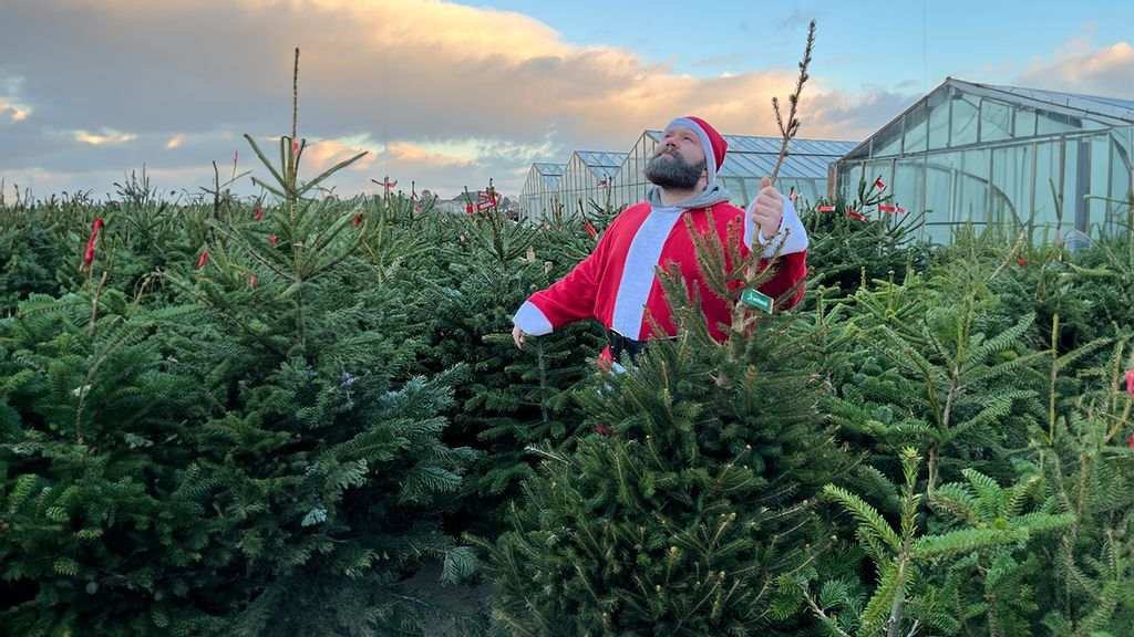 Ein Pärchen beim Kauf eines Weihnachtsbaums