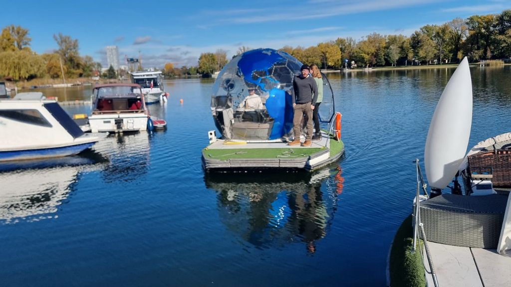 Ein Gruppe fährt auf einer Insel mit Palme auf der Alten Donau