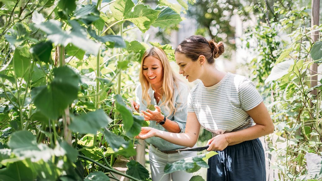 Zwei Frauen betrachten Pflanzen in einem Garten