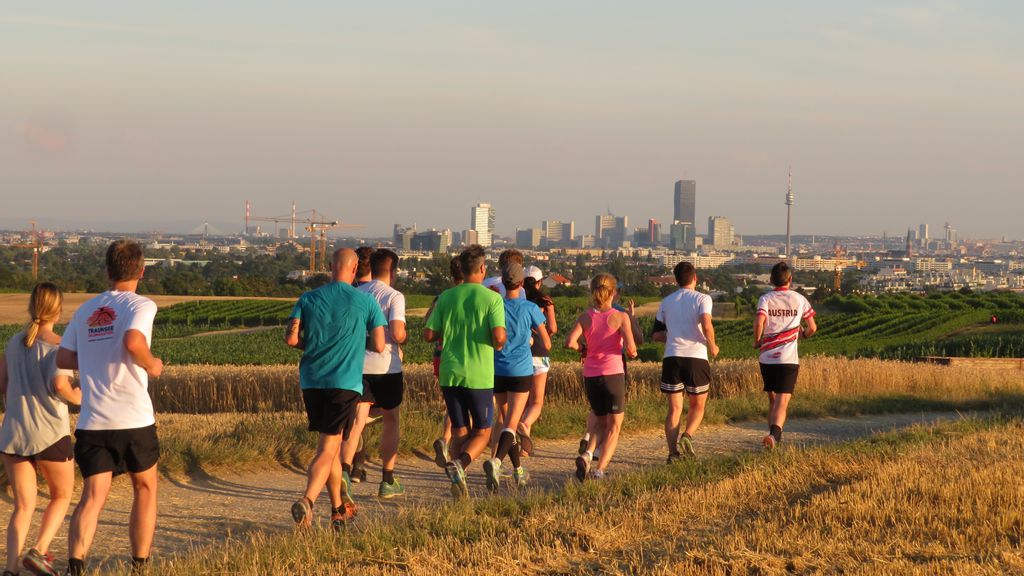 Laufgruppe beim gemeinsamen Laufen durch die Wiener Weinberge 