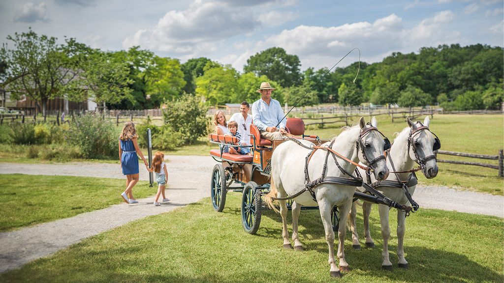 Familie fährt mit einer Pferdekutsche in einem Schlosspark