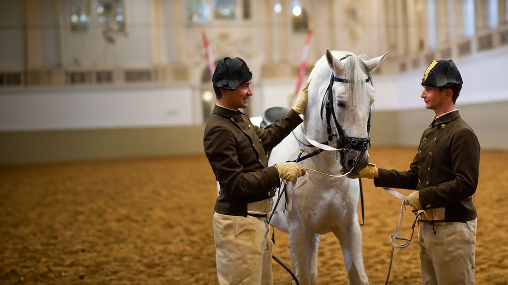 Zwei Reiter*innen mit einem weißen Lipizzaner in der Mitte