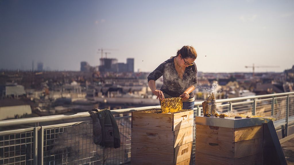 Imkerin auf einer Dachterrasse über den Dächern von Wien