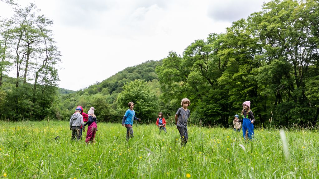 Kinder wandern gemeinsam durch eine grüne Wiese