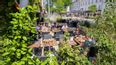 Gäste eines Restaurants sitzen in einem Gastgarten