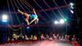 Artist*Innen im Circus im Wiener Prater