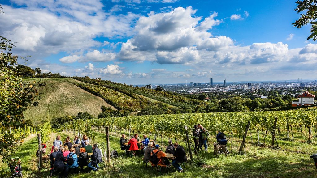 Weinlandschaft mit Weinbergen und Besucher*innen bei den Wiener Weinwandertagen