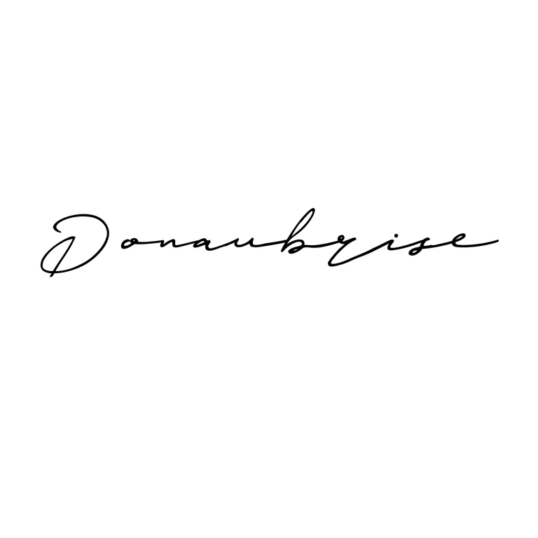Logo Donaubrise