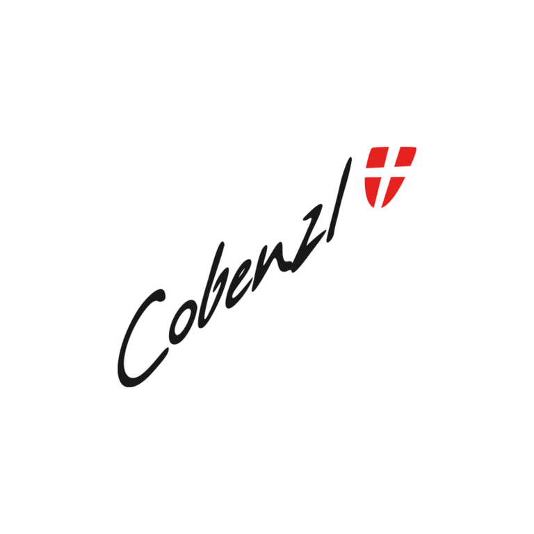 Logo Weingut Cobenzl