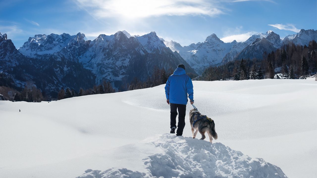 Ein Mann geht im Schnee mit seinem Husky Hund spazieren