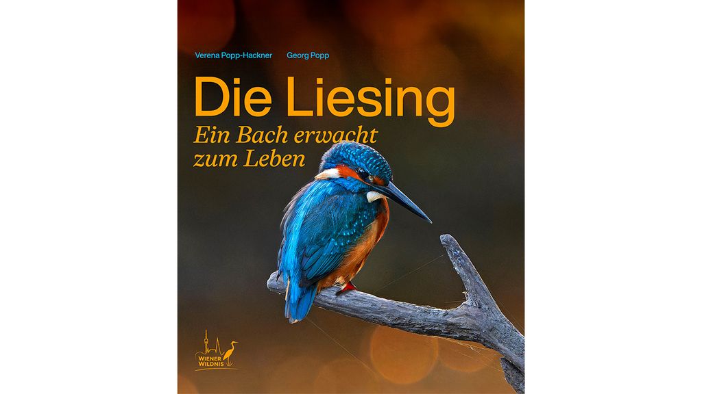 Buchcover Die Liesing
