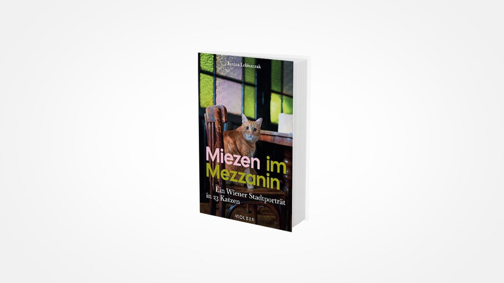 Buchcover Miezen im Mezzanin