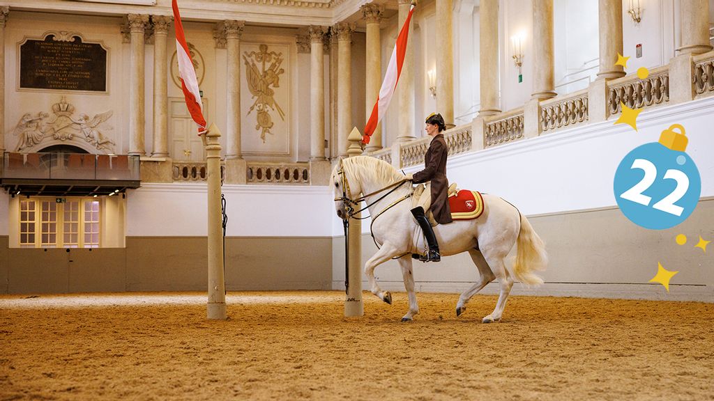 Ein Mann sitzt auf einem weißen Pferd und trabt in einem barocken Reitsaal